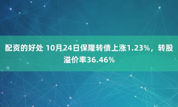 配资的好处 10月24日保隆转债上涨1.23%，转股溢价率36.46%
