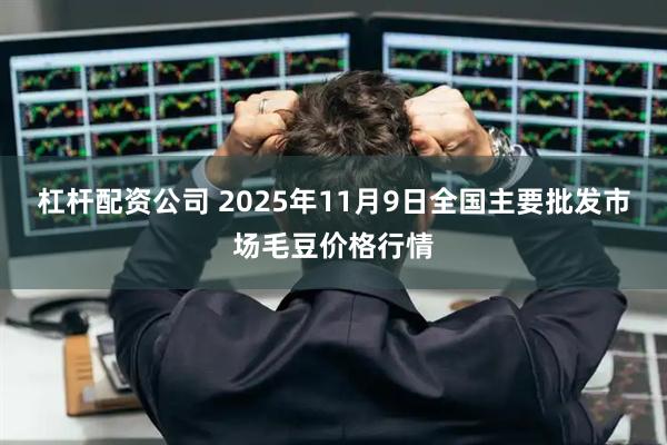 杠杆配资公司 2025年11月9日全国主要批发市场毛豆价格行情